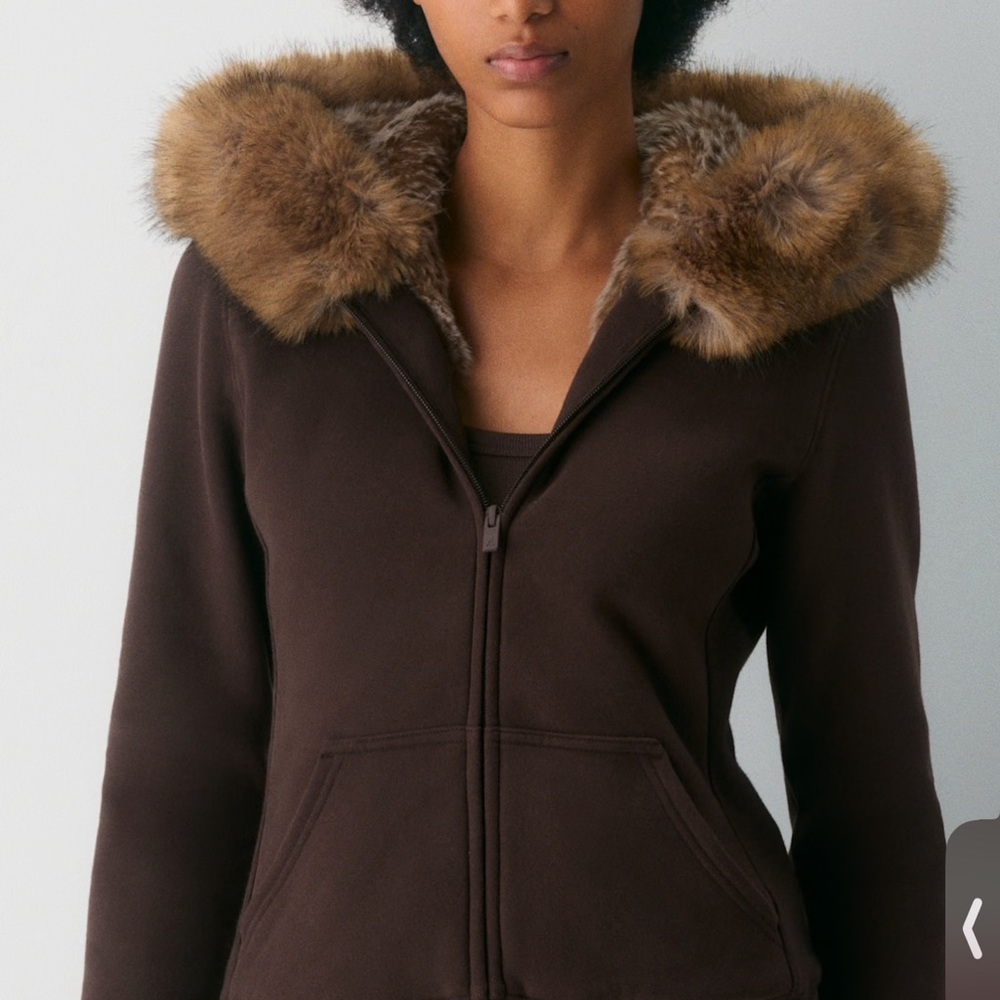 Aritzia Cozy Sweatfleece Snug Zip Hoodie (small)